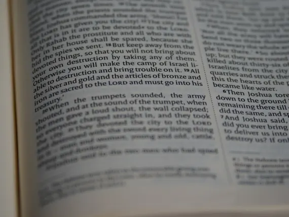 トップタリー カジノ サポート